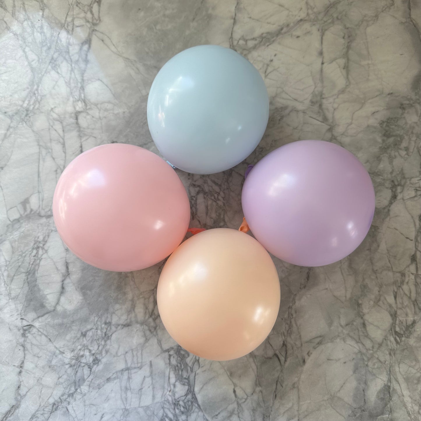 Arche de ballon ''Bingo Bluey''