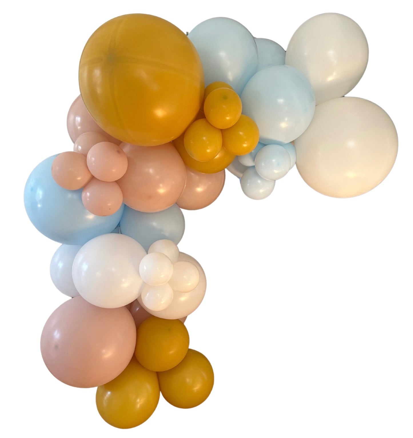 Arche de ballon ''Silly Goose''